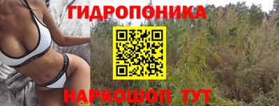 гидропоника Ангарск