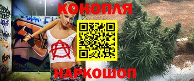 Альфа ПВП Анапа