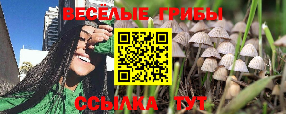 Галлюциногенные грибы Magic Shrooms  Вход с VPN  Мценск 